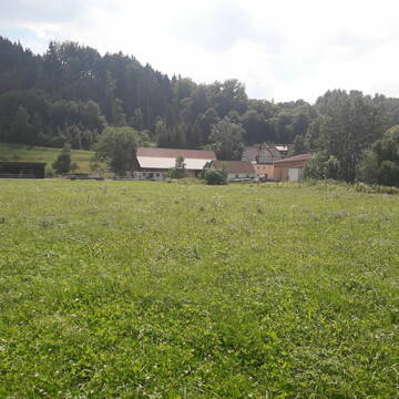 Bild: Stall in  Sulzbach-Laufen