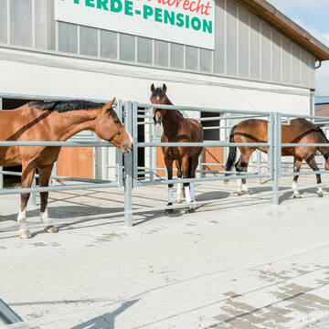 Bild: Stall in  Zimmern ob Rottweil