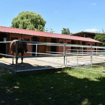 Bild: Stall in  Au am Rhein