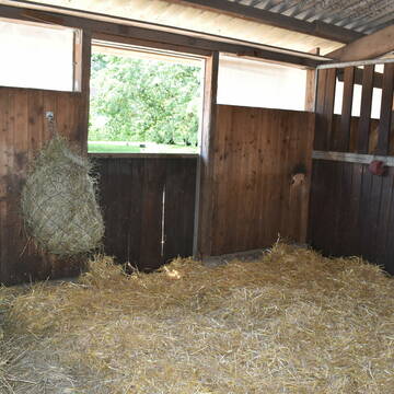 Bild: Stall in  Au am Rhein