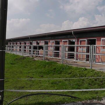 Paddockboxen Halle