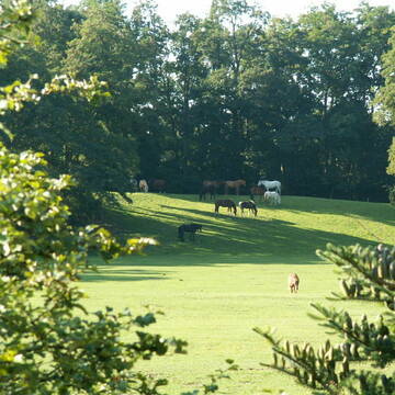 Bild: Stall in  Garbsen