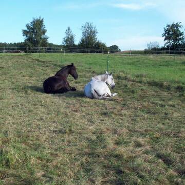 Bild: Stall in  Mitteldorf