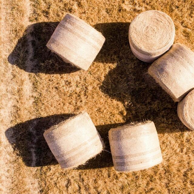 Frisches Stroh zu verkaufen! (Anzeige)