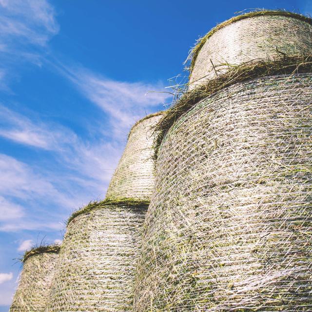 Heu aus neuer Ernte (Anzeige)