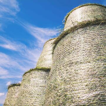 Heu aus neuer Ernte (Anzeige)