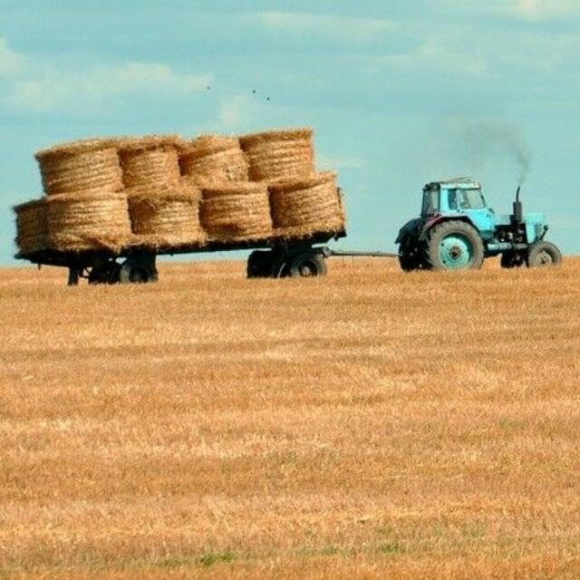 Stroh verkaufen (Anzeige)