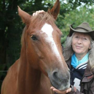 Bild: Reitbeteiligung in  Seesbach