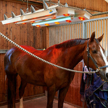 Bild: Stall in  Fellbach