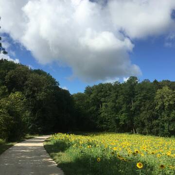Bild: Stall in  Kandern