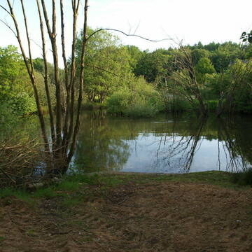 Bild: Stall in  Oeschebüttel