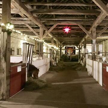 Stall im Advent