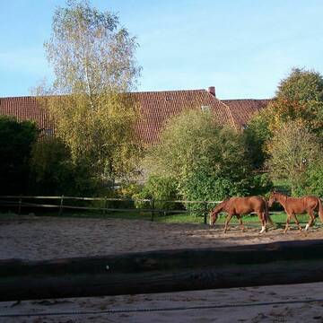 Bild: Stall in  Bad Münder am Deister