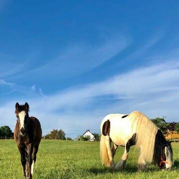 Sommer- und Winterweiden