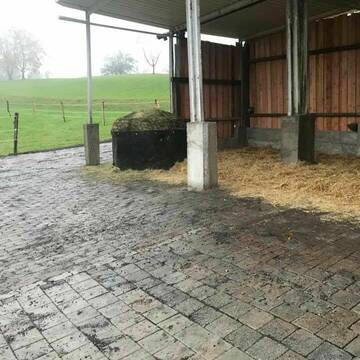 Bild: Weide in  Rheinfelden (Baden)