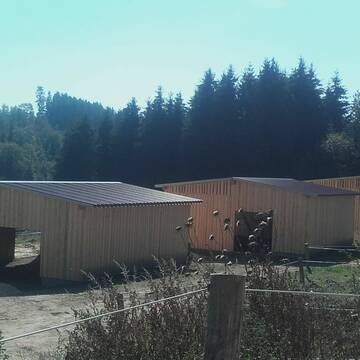 die drei Liegehallen