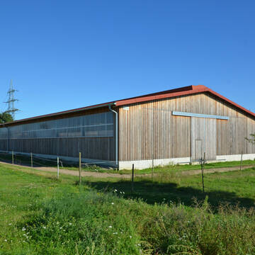 Bild: Stall in  Friedrichsfeld