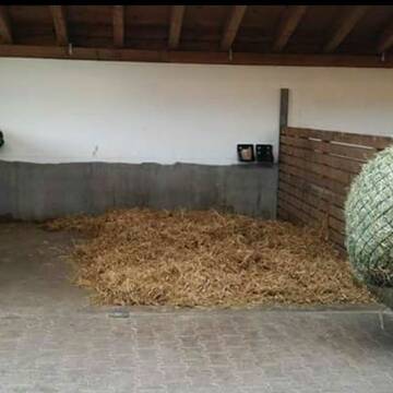 Unsere Boxen im grossen Stall. 400 x 420 cm.