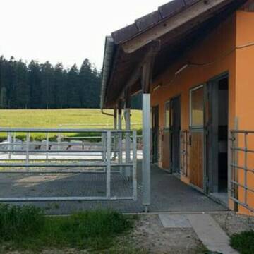 Bild: Stall in  Aichhalden