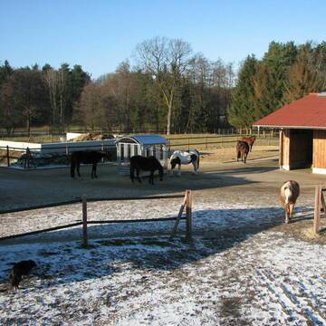 Bild: Stall in  Eversen