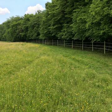 Bild: Stall in  Herford