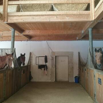 Stalltrakt mit Innen- und Außenboxen