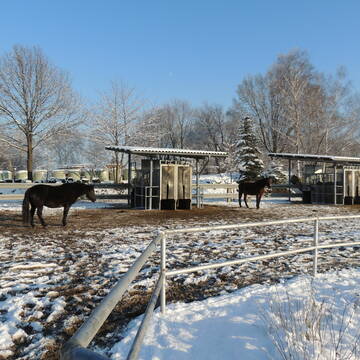 Bild: Stall in  Garbsen