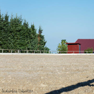 Bild: Stall in  Kandern