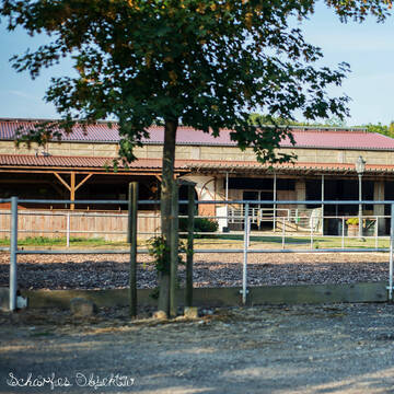 Bild: Stall in  Kandern