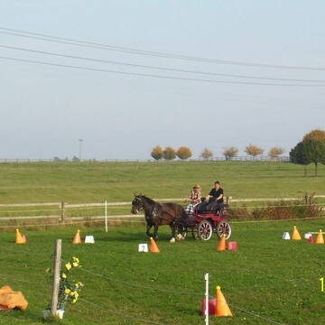 Reit- und Fahrplatz