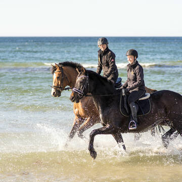 Bild: Stall in  Ribnitz-Damgarten