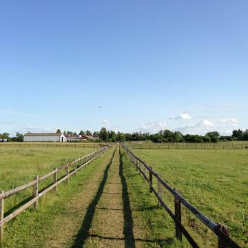 Bild: Stall in  Ribnitz-Damgarten