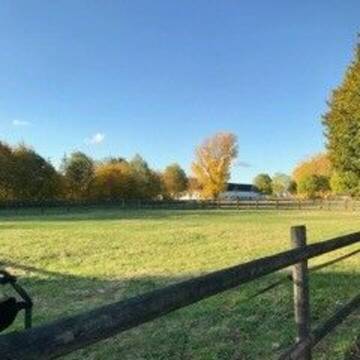 Bild: Stall in  Kerpen