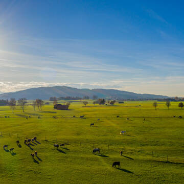 Bild: Stall in  Sindelsdorf