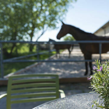 Bild: Stall in  Zossen