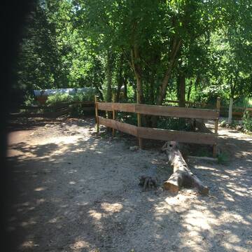 Bild: Stall in  Trier