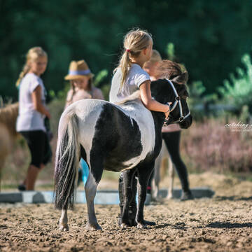 Bild: Stall in  Stuhr