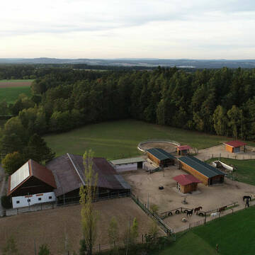 Bild: Stall in  Wald