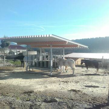 der ad lib Heubereich