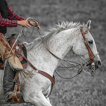 Bild: Service in  Langenselbold