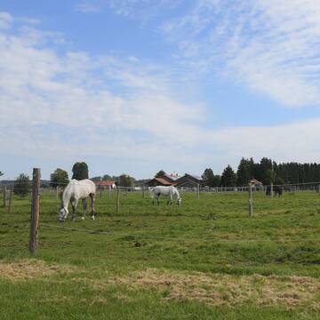 Bild: Stall in  Valley