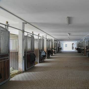 Bild: Stall in  Valley