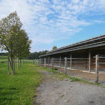 Bild: Stall in  Valley