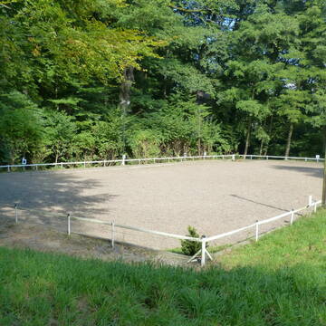 Dressurplatz im Wald