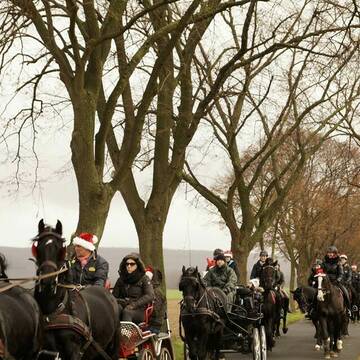 Bild: Stall in  Stetternich