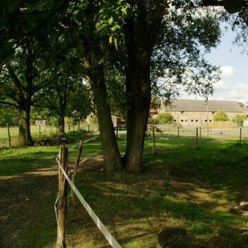Blick auf Stall und Paddocks