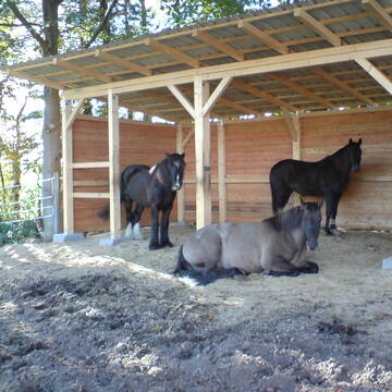 Bild: Stall in  Emkendorf