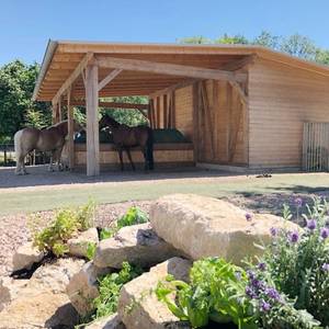 Bild: Stall in  Siegelbach