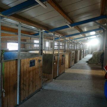 Bild: Stall in  Schöllnach