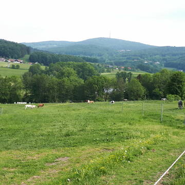 Bild: Stall in  Schöllnach